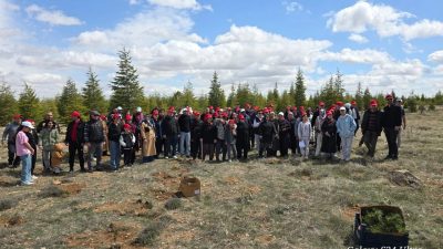 Saray Holding bünyesinde faaliyet gösteren