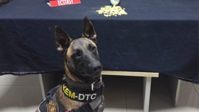 Karaman’da Bir Haftada Uyuşturucu ve Silah Operasyonu: 5 Kişi Tutuklandı