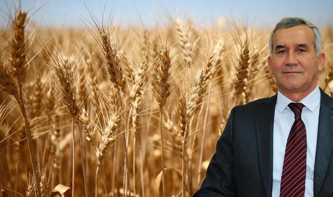 Duru Bulgur, Anadolu’nun yaklaşık 2