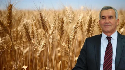 Duru Bulgur, Anadolu’nun yaklaşık 2