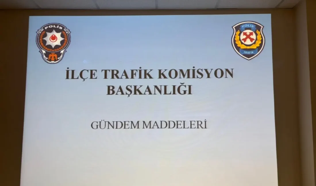 Ermenek Kaymakam Vekili Neslihan Çakır