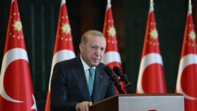 Karaman Valisi Hayrettin Çiçek, Cumhurbaşkanlığı