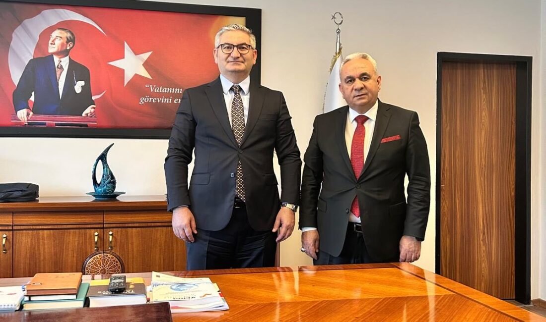 Karaman Defterdarlığı, Konya Vergi Denetim