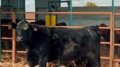 Karaman’ın Kazımkarabekir ilçesinde, ‘Kırsalda Bereket