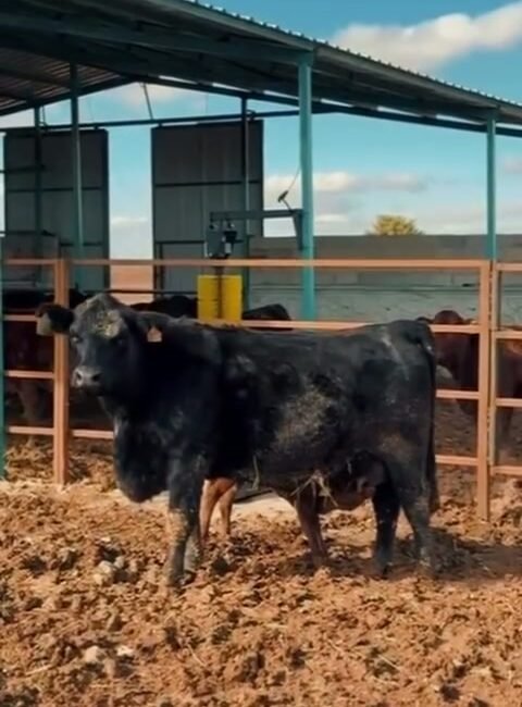 Karaman’ın Kazımkarabekir ilçesinde, ‘Kırsalda Bereket