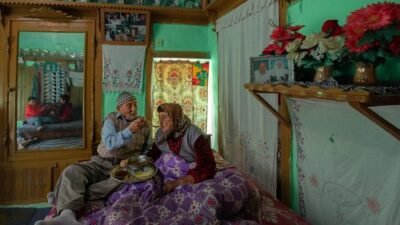 T.C. Aile ve Sosyal Hizmetler