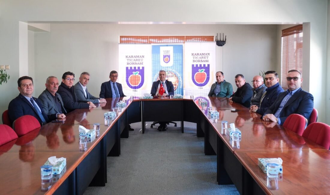 Karaman Valisi Hayrettin Çiçek, Karaman