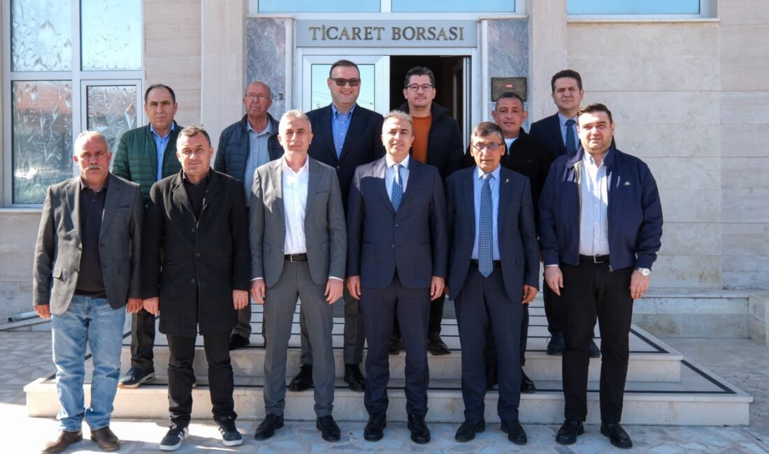 Karaman Valisi Hayrettin Çiçek, Karaman