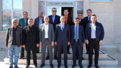 Karaman Valisi Hayrettin Çiçek, Karaman