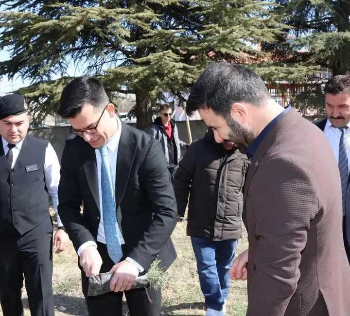 Ayrancı Kaymakamı İlkây, ÇEDES Projesi Kapsamında Fidan Dikti 