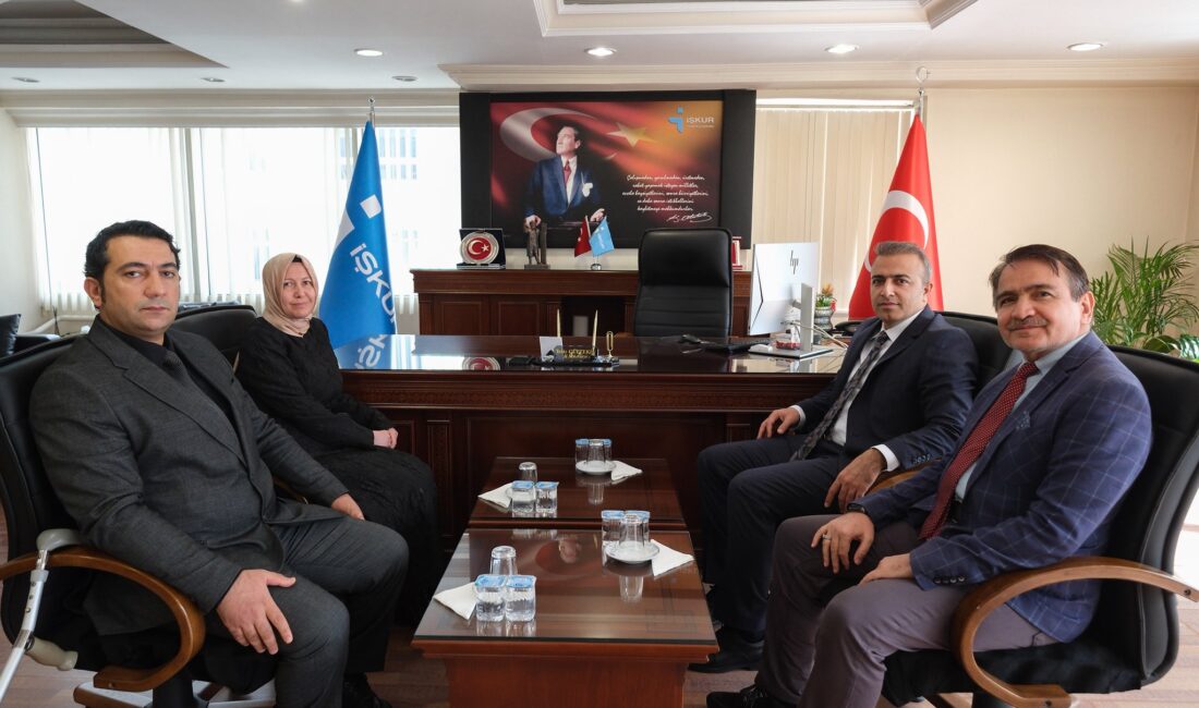 Karaman Valisi Hayrettin Çiçek, kurum