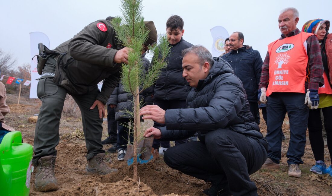 Karaman Valisi Hayrettin Çiçek, Dünya