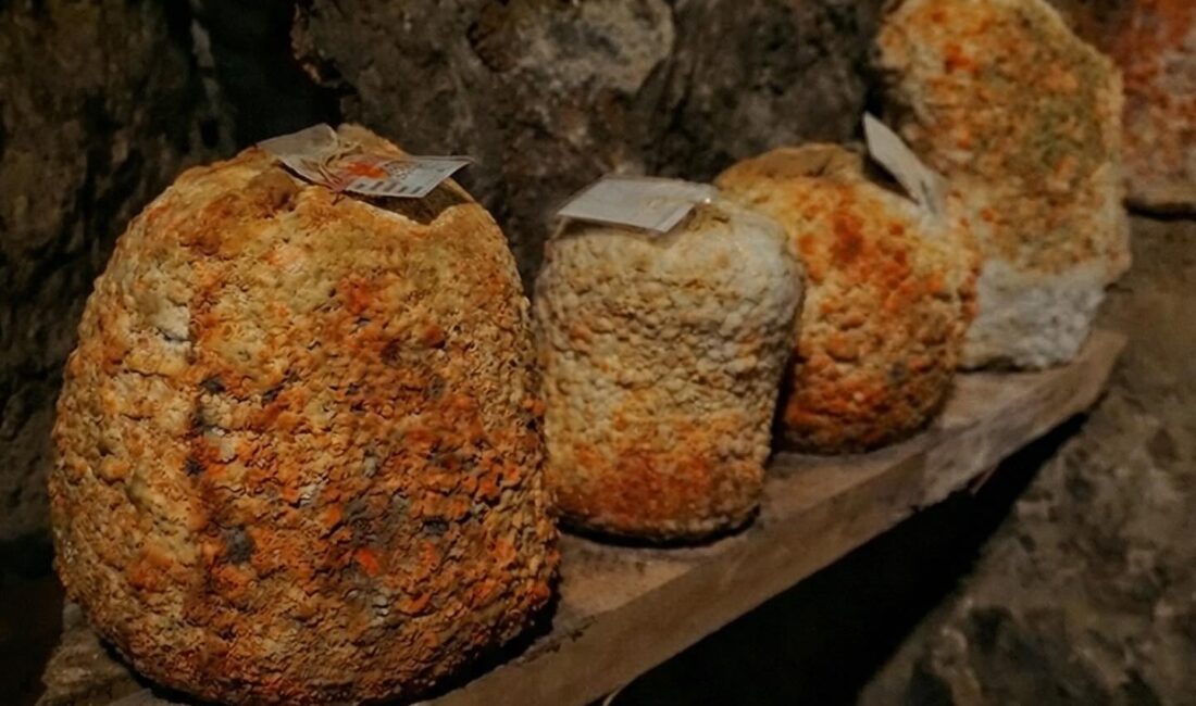 Divle Obruk Peyniri’nin, koyun ve