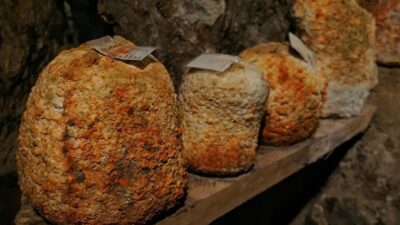 Divle Obruk Peyniri’nin, koyun ve