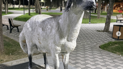 Sanırım 90’lı yıllardı. Karaman’ın eski