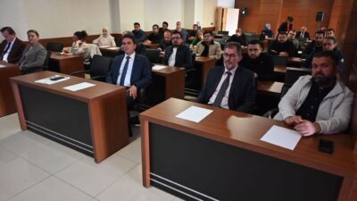 Mevlana Kalkınma Ajansı (MEVKA), yerel