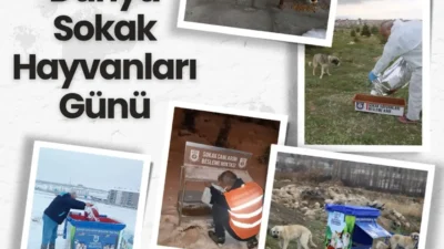 Karaman Belediyesi, 4 Nisan Dünya