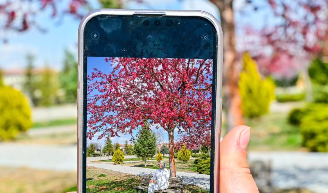 Karamanoğlu Mehmetbey Üniversitesi (KMÜ),