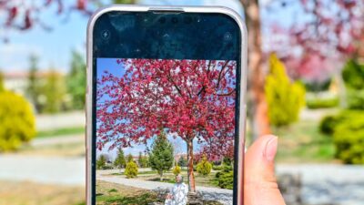 Karamanoğlu Mehmetbey Üniversitesi (KMÜ), fotoğrafçılığa