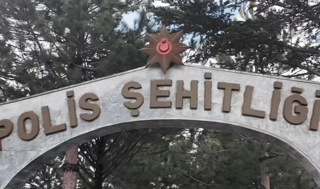 Türk Polis Teşkilatı, kuruluşunun