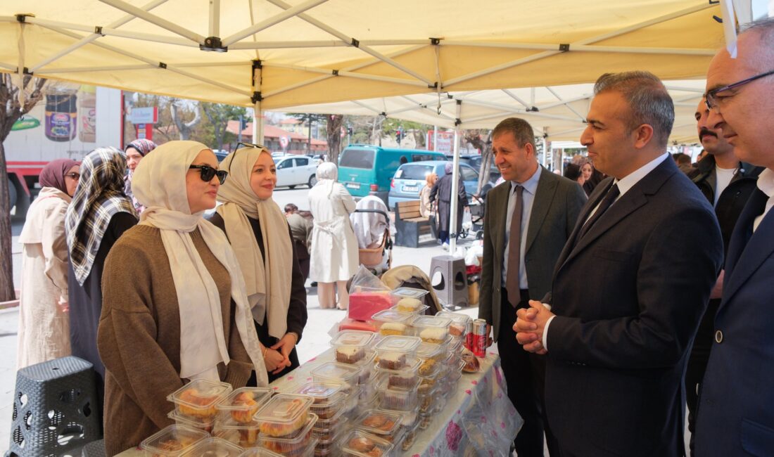 Karaman Valisi Hayrettin Çiçek, DMD