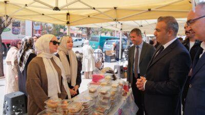 Karaman Valisi Hayrettin Çiçek, DMD