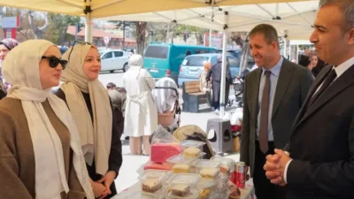 Karaman Valisi Hayrettin Çiçek, DMD