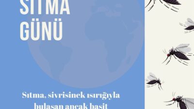 Karaman İl Sağlık Müdürlüğü, sivrisinek