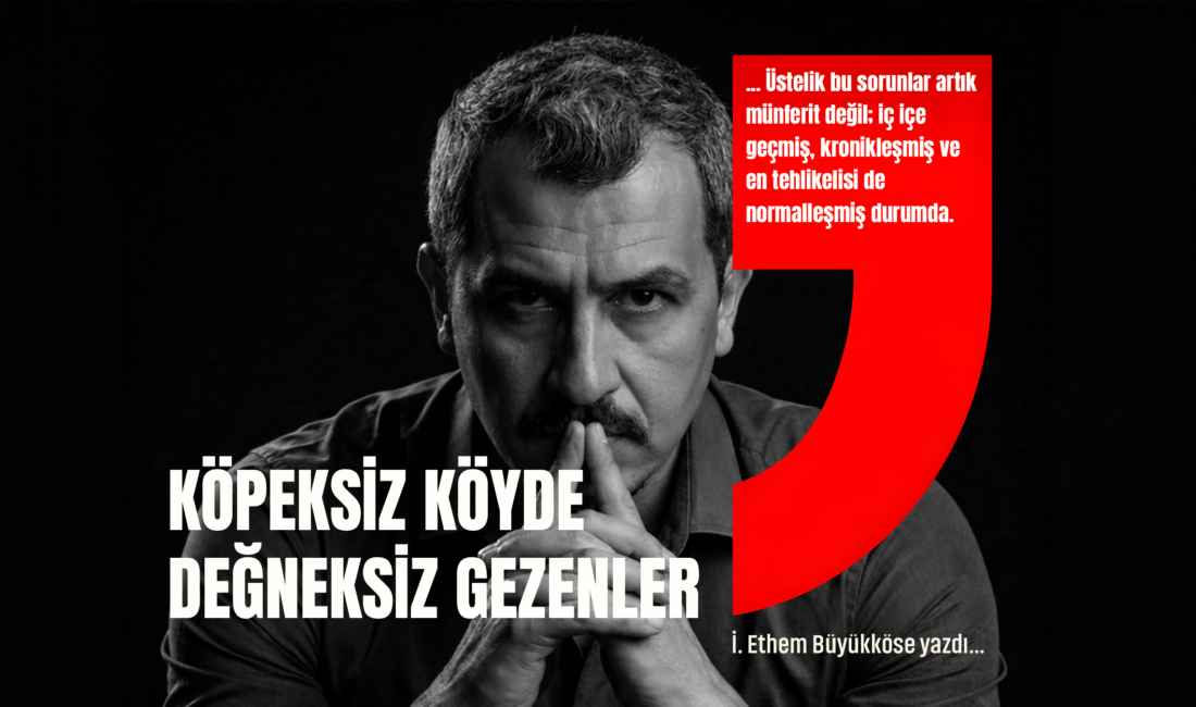 “Köpeksiz köy bulmuşlar, değneksiz geziyorlar…”