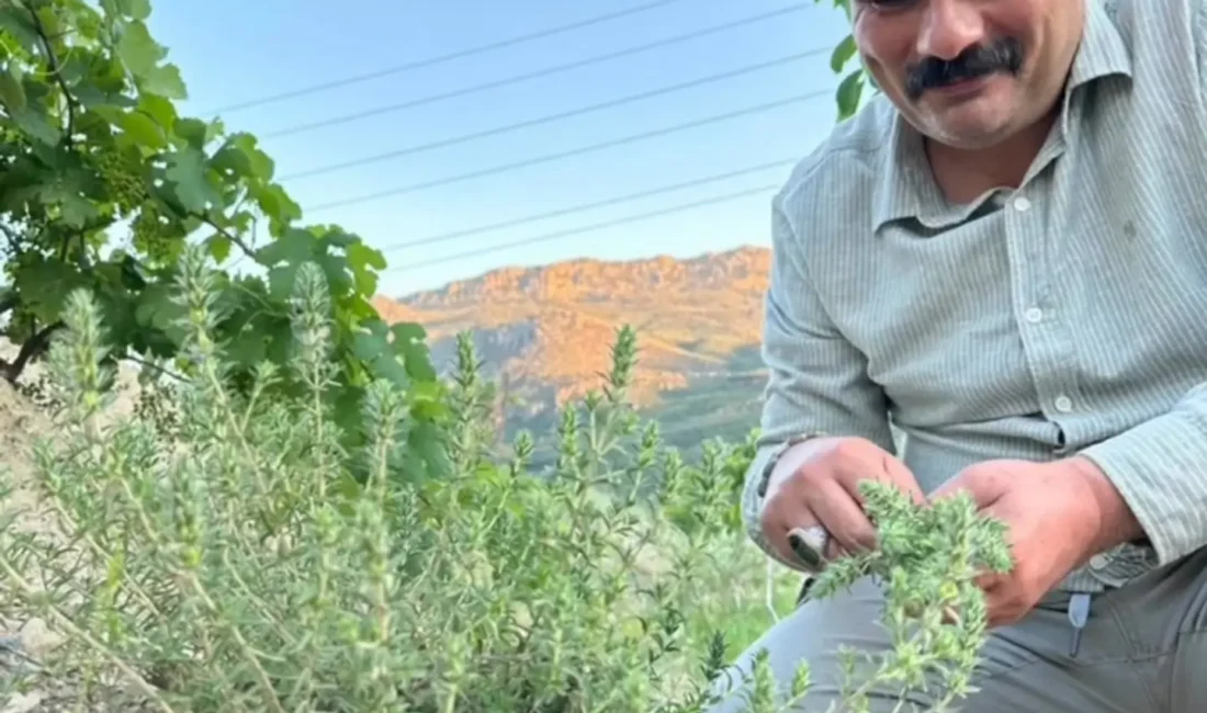 Karaman Anahtar Partisi İl Başkanı Recep Karakoca, sosyal medya hesabından
