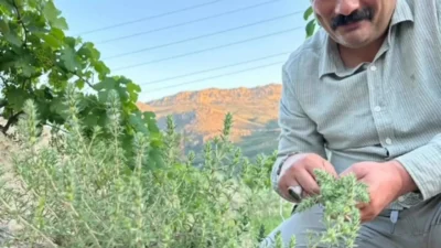 Karaman Anahtar Partisi İl Başkanı Recep Karakoca, sosyal medya hesabından