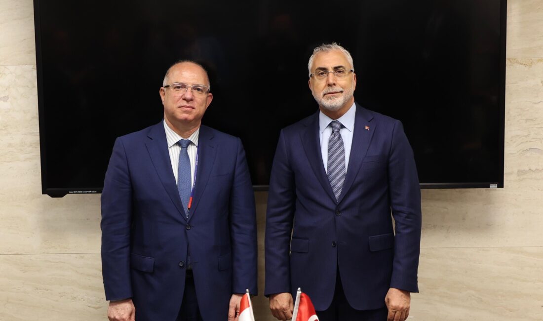 Çalışma ve Sosyal Güvenlik Bakanı Prof. Dr. Vedat Işıkhan, Lübnan
