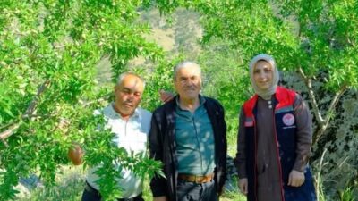 Karaman İl Tarım ve Orman Müdürlüğü, Karaman Merkez’e bağlı Ada,