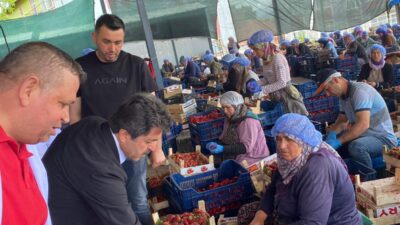 AK Parti Karaman Milletvekili Osman Sağlam, Karaman’da çeşitli noktalarda esnaf