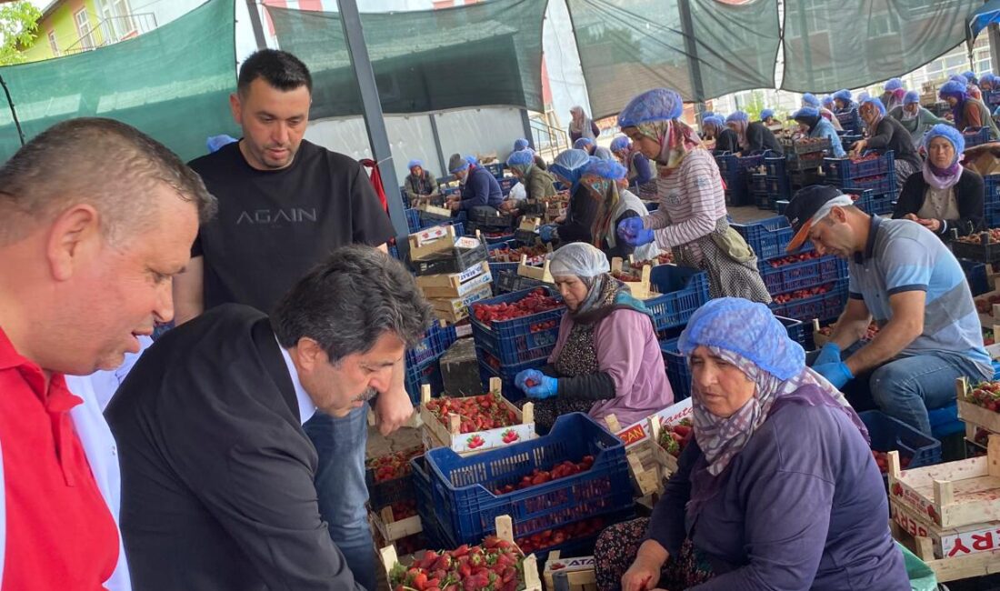 AK Parti Karaman Milletvekili Osman Sağlam, Göksu Taşeli Havzası Kalkınma